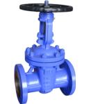 F5 series Gate valve